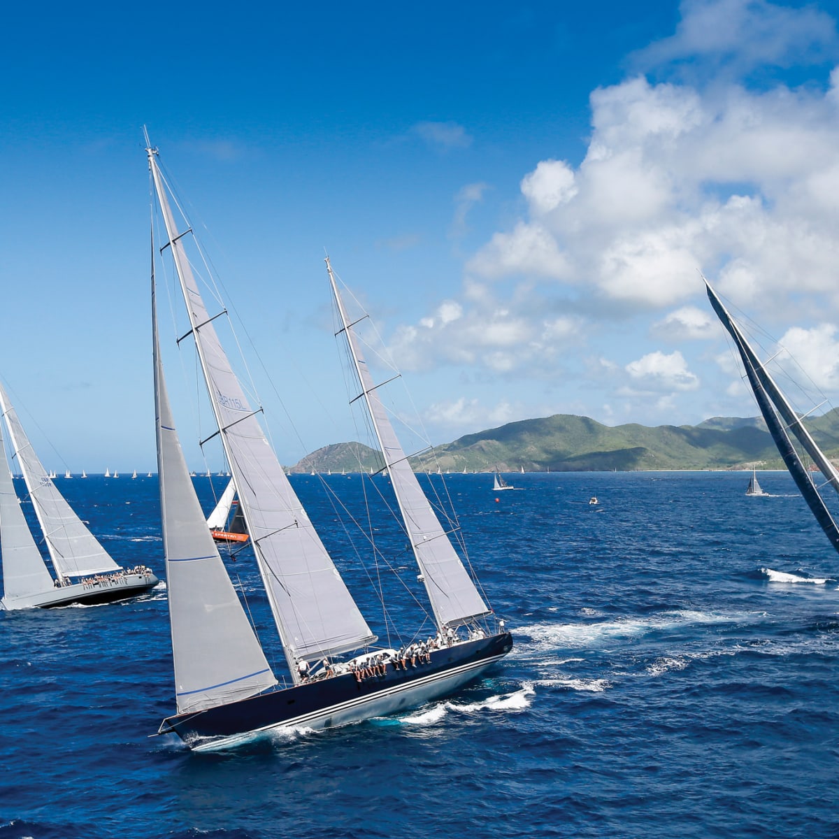 Shore Excursion: America's Cup Regatta St. Maarten Review