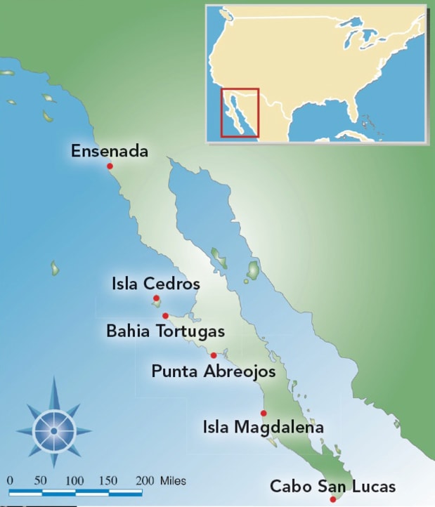 Cabo San Lucas On World Map The Slow Route To Cabo - Sail Magazine