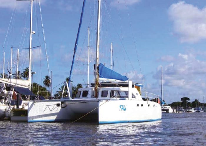 dolphin 42 catamaran