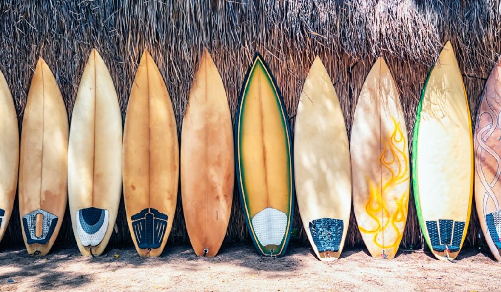 Surfs Up! Discover a Fun New Hobby in the Water by Surfing | Reviews by ...