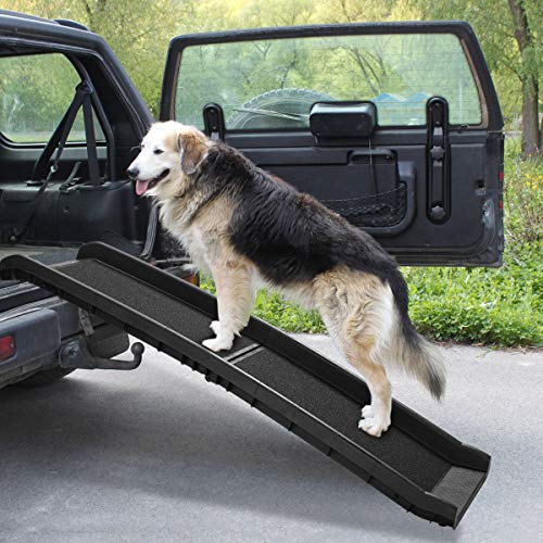 Beavertail dog ladder best sale