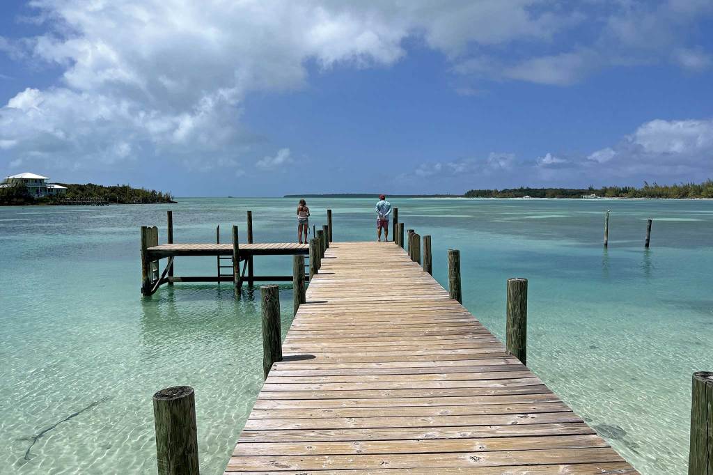 A boardwalk leading to calm green water.
