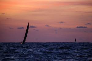 sailboats sailing into a sunset