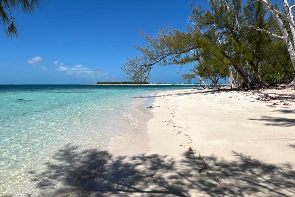 A sunny beachscape
